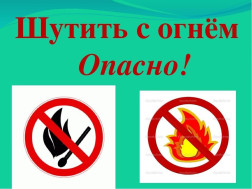 В рамках проекта "Территория БЕЗопасности" было организовано и проведено занятие по социальному миру на тему: "Не шути с огнем".